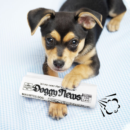 Squeaky Dog Toy for Chewing and Training